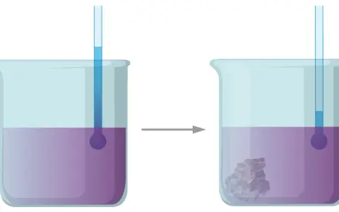 Krystalizator w laboratorium służy do otrzymywania kryształów z roztworu. Obrazek pokazuje proces krystalizacji.