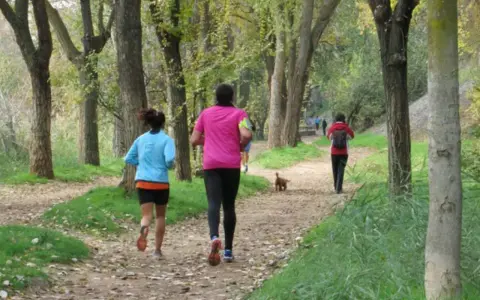 Personas corriendo por un sendero arbolado, disfrutando del senderismo en Alcalá de Henares. Un perro les acompaña.