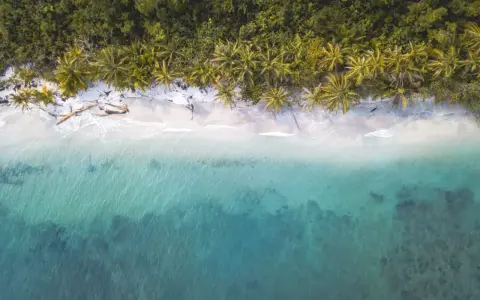 Traumhafter costa rica strand mit Palmen und türkisfarbenem Meer.