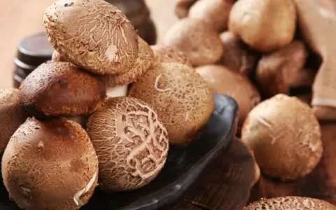 Kupa świeżych grzybów shiitake na czarnej desce, niektóre w worku jutowym.