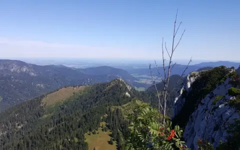 Blick von der Brander Alm über bewaldete Berge ins Tal. Ein kahler Ast und rote Beeren im Vordergrund.
