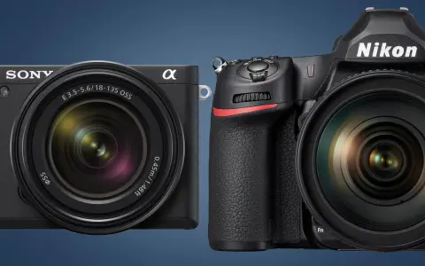Sony e Nikon, due fotocamere per iniziare a scattare foto con una reflex.