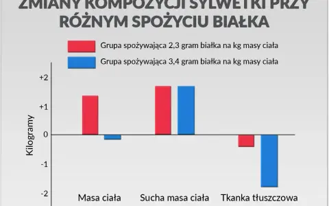 Wykres porównuje zmiany masy ciała, suchej masy i tkanki tłuszczowej przy różnym spożyciu białka: 2,3 vs 3,4 gram białka na kg masy ciała.