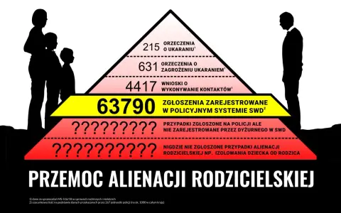Piramide ukazuje skalę przemocy, gdzie na szczycie są orzeczenia o ukaraniu, a u podstawy zgłoszenia, które nie trafiają do systemu. To pokazuje skalę alienacji rodzicielskiej objawy.