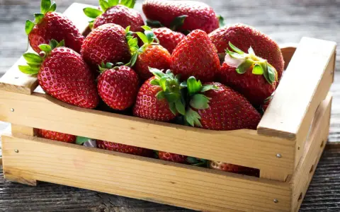 Pełna skrzynka soczystych, czerwonych truskawek, idealnych na deser, gdy sezon na truskawki w pełni.