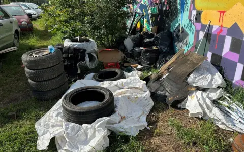 Nielegalny warsztat samochodowy? Zgłoś go! Pełny poradnik.