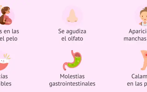 Síntomas comunes en la semana 11 de embarazo: cambios en uñas/pelo, olfato agudizado, manchas solares, encías sensibles, molestias gastrointestinales y calambres.