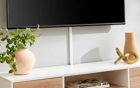 Snyggt sätt att bygga in tv:n med dold kabelhantering. En vas med gröna blad och en dekorativ guldfigur pryder möbeln.