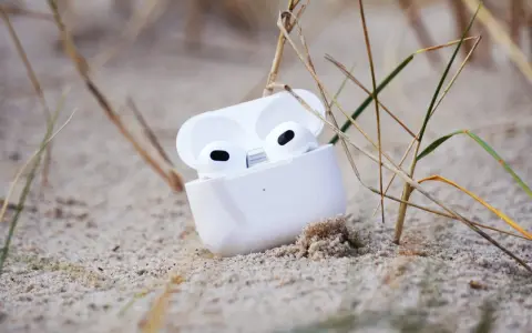 Weiße AirPods im geöffneten Ladecase liegen im Sand, umgeben von Gräsern.