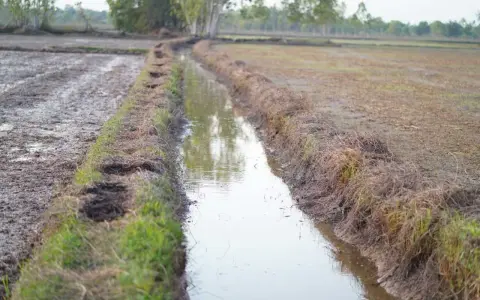Canale di irrigazione in un campo argilloso, utile per capire come trovare acqua in un terreno argilloso.