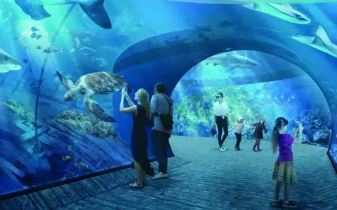 Rodzina podziwia żółwia i rekiny w oceanarium w Gdańsku, robiąc zdjęcia.