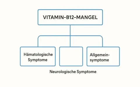 Flussdiagramm zeigt: Vitamin-B12-Mangel mit hämatologischen, neurologischen und allgemeinen Symptomen.