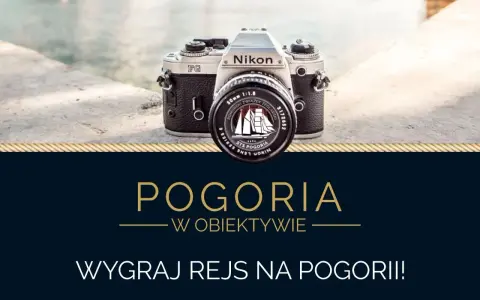 Wygraj lustrzankę: Gdzie szukać konkursów i jak wygrać?