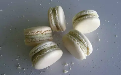 Cinq macarons vanille, délicatement posés sur une surface grise parsemée de miettes.