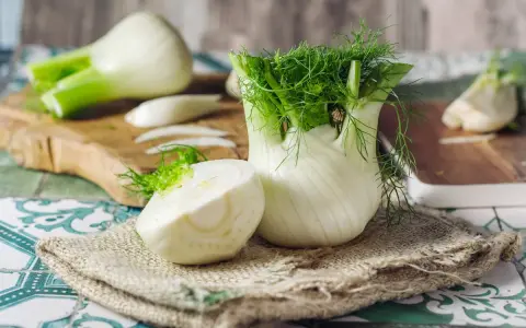 Fenouil frais, prêt à révéler ses bienfaits. Une moitié coupée montre sa texture croquante, tandis que le bulbe entier déploie ses feuilles aériennes.