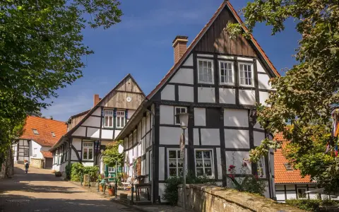Fachwerkhäuser säumen eine Gasse in der Tecklenburg Altstadt. Ein Baum wirft Schatten auf die Straße.