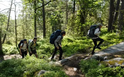 Vandrare med ryggsäckar går uppför en stig i en grön skog. De utforskar olika skåneleden etapper.