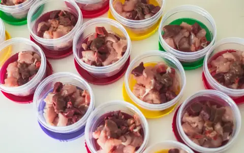 Plusieurs petits pots transparents remplis de morceaux de viande crue, prêts pour un repas BARF pour chien.