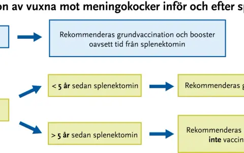 Vaccinationsrekommendationer mot meningokocker för vuxna. För personer 25 år eller yngre rekommenderas grundvaccination och booster. För äldre än 25 år beror det på tiden sedan splenektomi.