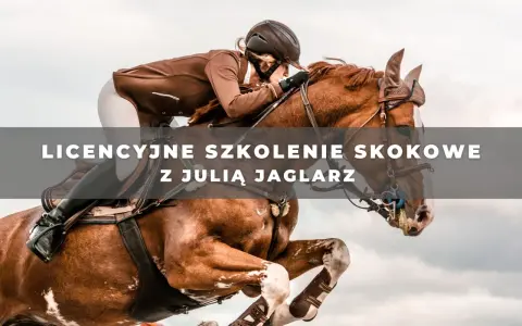 Jeździec w brązowej kurtce skacze na koniu przez przeszkodę.