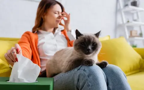 Skuteczne sposoby na pozbycie się alergii na koty i ulgę w objawach