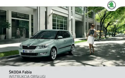 Wymiana chłodnicy Skoda Fabia: Jak zrobić to samemu i zaoszczędzić?