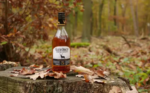 Glen Orchy Whisky steht auf einem Baumstumpf im Herbstwald, umgeben von Laub.