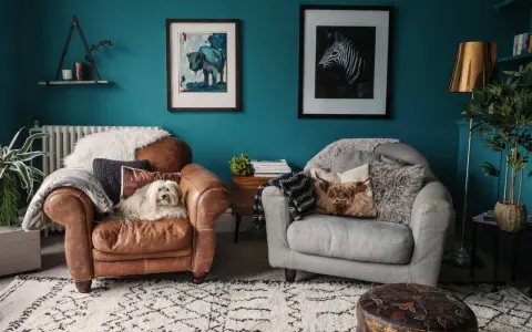 Un cane bianco su una poltrona di pelle marrone, con pareti color marrs green e quadri di animali.