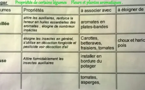 Tableau des plantes compagnes : Achillée, Ail, Alysse et leurs propriétés, associations et éloignements pour le potager.
