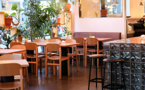 Mysig restaurang med många växter. Bord och stolar i trä. Belysning skapar en varm atmosfär. Bra ställe för bise recensioner.