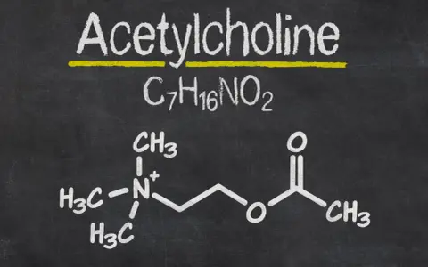 Struktura chemiczna acetylocholiny na tablicy.