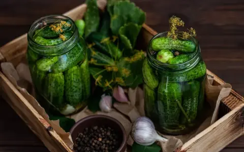 Jak przechować koper do kiszenia ogórków, by zachować jego aromat?