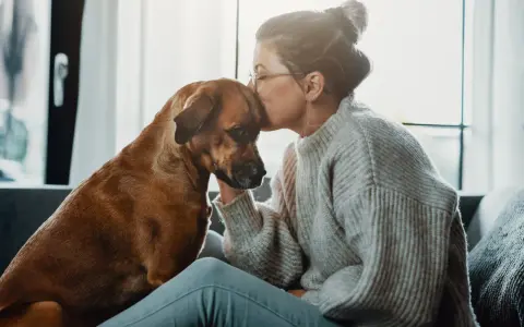En kvinna kysser sin hunds huvud, en gest av saknad och sorg. Hunden ser trött ut, som om den delar hennes känslor.