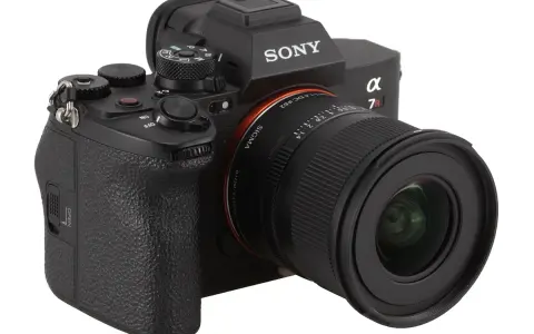 Aparat Sony Alpha 7R z obiektywem Sigma. Idealny do testu osobowości sigma, uchwyci każdy szczegół.