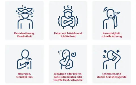 Sechs Icons zeigen häufige Sepsis Symptome: Verwirrtheit, Fieber, Kurzatmigkeit, Herzrasen, Schweißausbrüche/Frieren und Schmerzen.