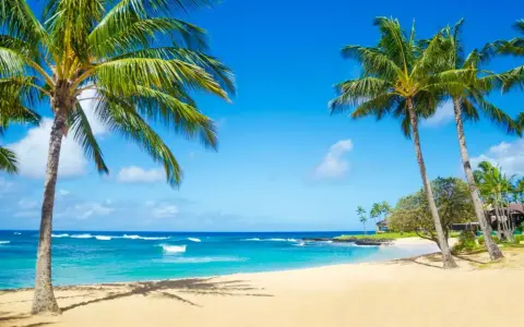 Traumhafter Hawaii Beach mit Palmen, türkisblauem Wasser und sanften Wellen unter strahlend blauem Himmel.