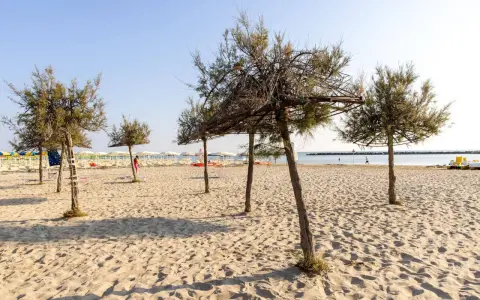 Alberi di tamerici creano ombra sulla spiaggia dorata. In lontananza, lettini e ombrelloni attendono i bagnanti.