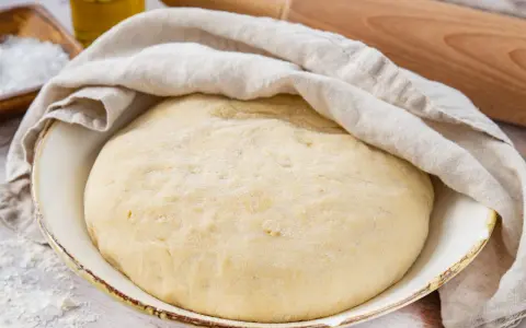 Frisch zubereiteter pizzateig mit trockenhefe ruht unter einem Tuch. Daneben liegen Salz und Olivenöl.