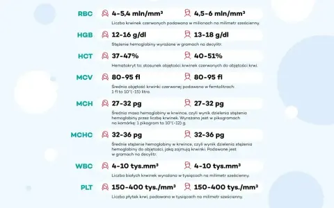 Tabela wyników badań krwi: RBC, HGB, HCT, MCV (średnia objętość krwinki czerwonej), MCH, MCHC, WBC, PLT. MCV 80-95 fl.