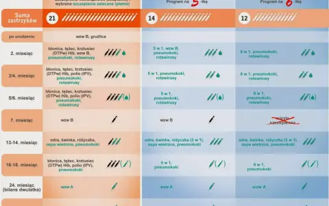 Kalendarz szczepień dzieci: obowiązkowe i zalecane, w tym przeciwko katarowi. Porównanie programów szczepień.