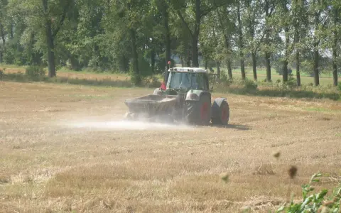 Traktor rozsypuje wapno na polu, pokazując, co daje wapnowanie gleby. Poprawia jej strukturę i żyzność.