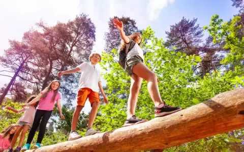 Niños en un campamento de verano practicando equilibrio sobre un tronco caído en un bosque soleado.