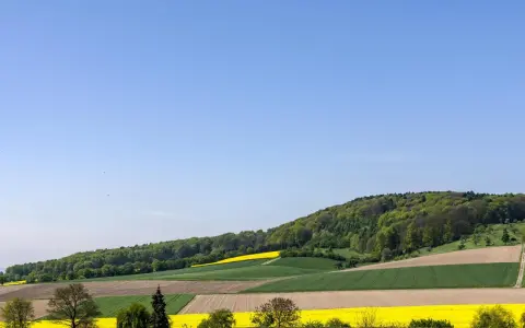 Bunte Felder erstrecken sich am Fuße des bewaldeten Stemweder Berg. Gelbe Rapsfelder und grüne Getreidefelder wechseln sich ab.