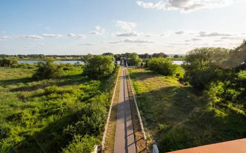 Ścieżka rowerowa prowadzi do mostu nad Odrą. Zielone łąki i drzewa otaczają rzekę.