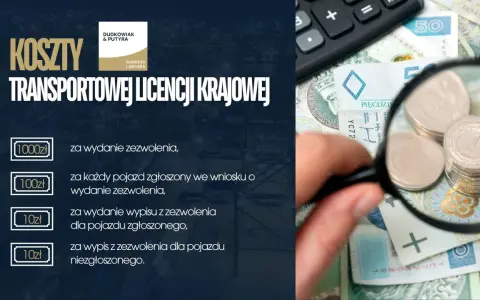 Jak otworzyć spedycję? Licencja, koszty, klienci - kompletny przewodnik