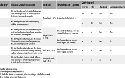 Übersicht der Gebrauchsklassen für Holz: GK 0-4 zeigen Schutz vor Insekten, Pilzen, Moderfäule und Auswaschung je nach Feuchtigkeit und Exposition.