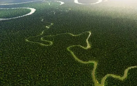 Un río serpenteante atraviesa una densa selva verde, evocando la majestuosidad del segundo río más largo de Sudamérica.
