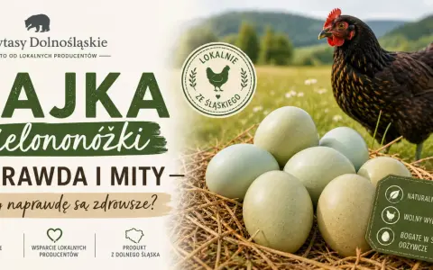 Jajka zielononóżki – prawda i mity. Czy są zdrowsze? Poznaj sekrety tych wyjątkowych jajek od lokalnych producentów.