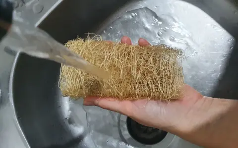 Ein Luffa Schwamm wird unter fließendem Wasser in der Spüle gereinigt.