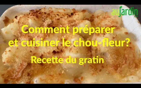Un plat réconfortant de gratin de chou-fleur, doré et croustillant, prêt à être dégusté.